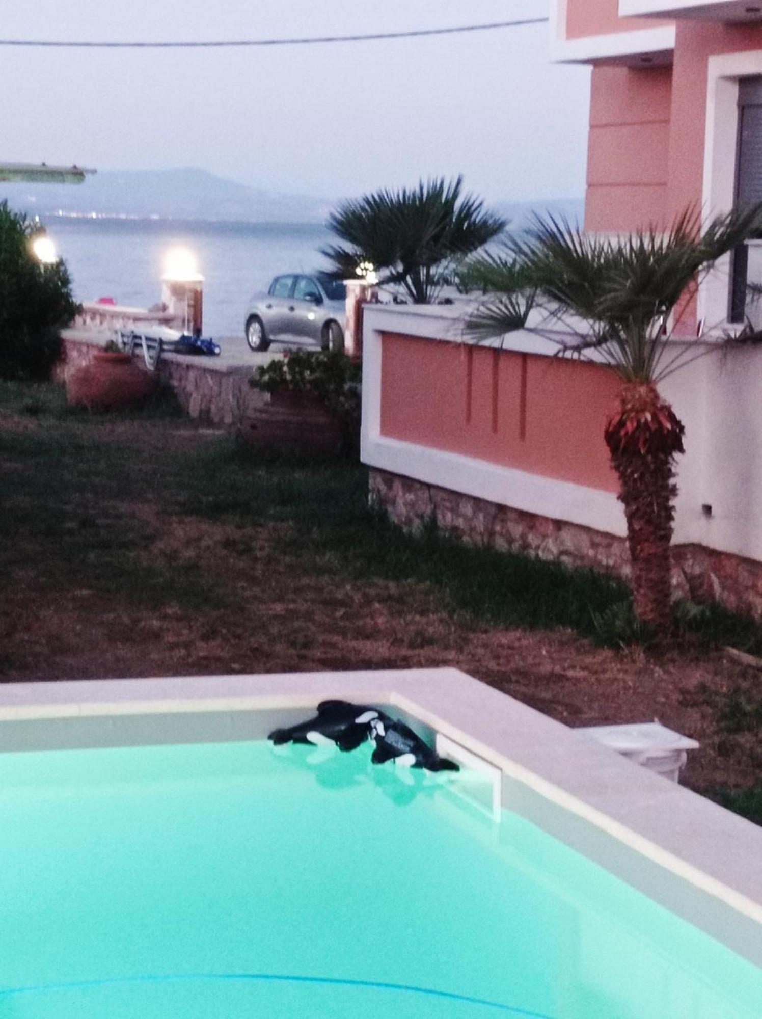 Nitelli'S Houses Skala Neon Kydonion المظهر الخارجي الصورة